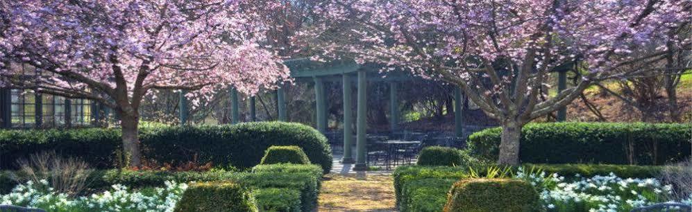 Om Sanctuary Holistic Retreat Hotel Asheville Esterno foto